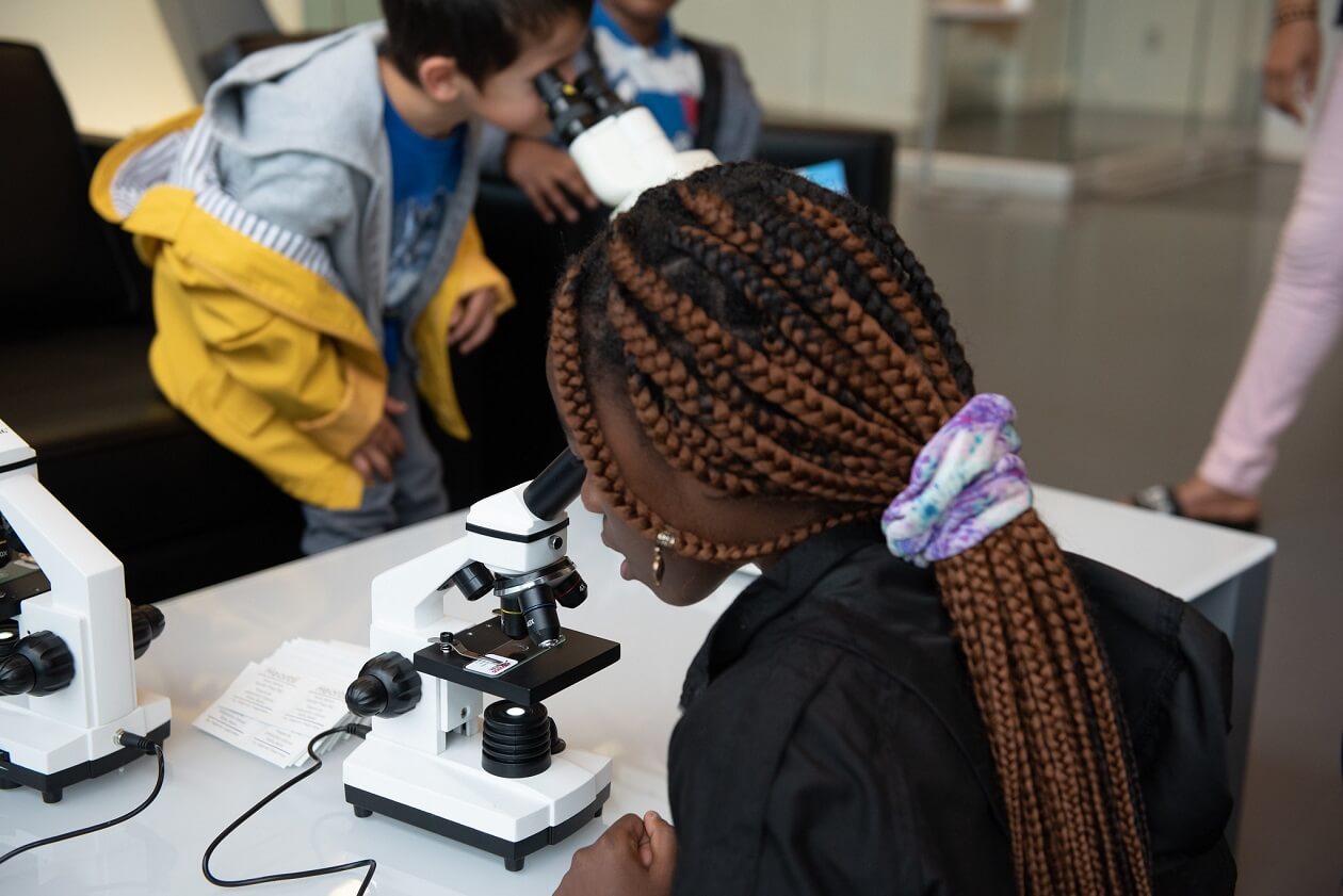 Observation des cyanobactéries au microscope