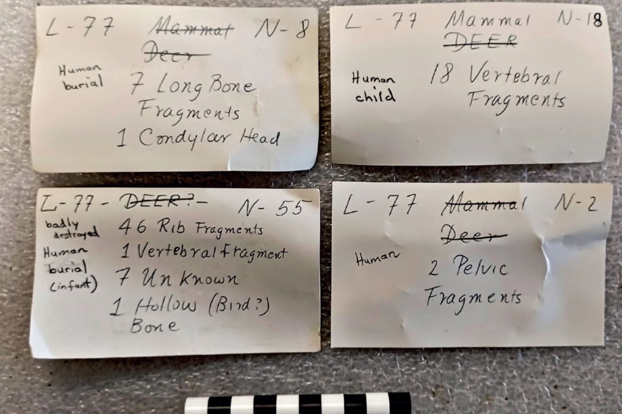 Fiches d’identification retrouvées à l’intérieur de la boîte contenant «el niño».