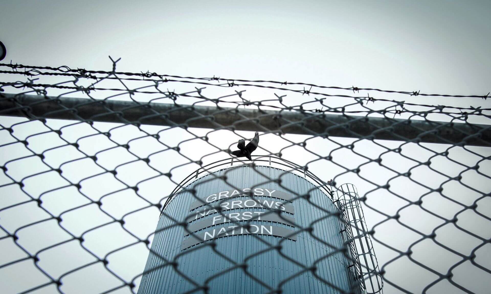 Un corbeau survole le château d’eau de la Première Nation de Grassy Narrows.