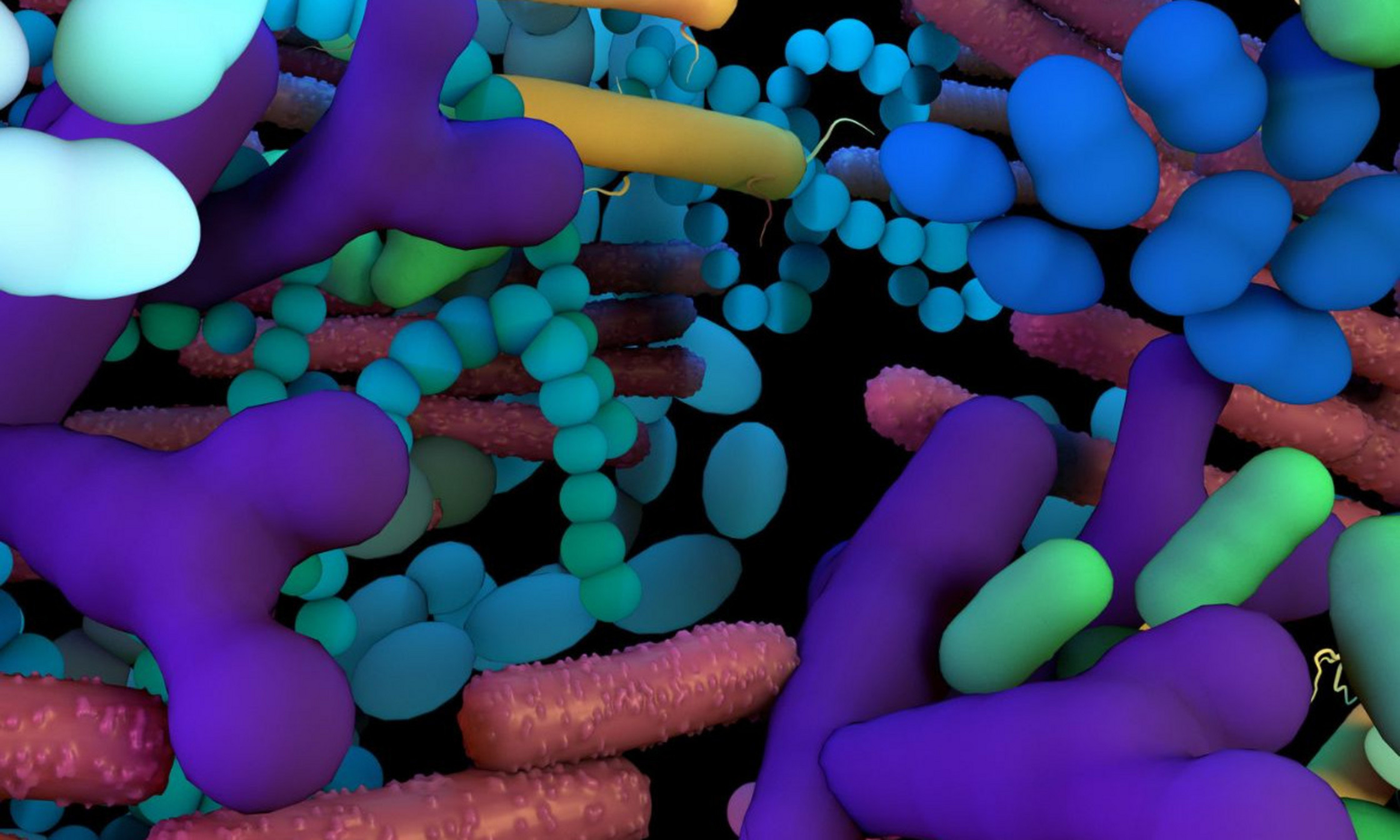 Le microbiome humain, ces colonies de bactéries qui vivent sur et autour de nous.