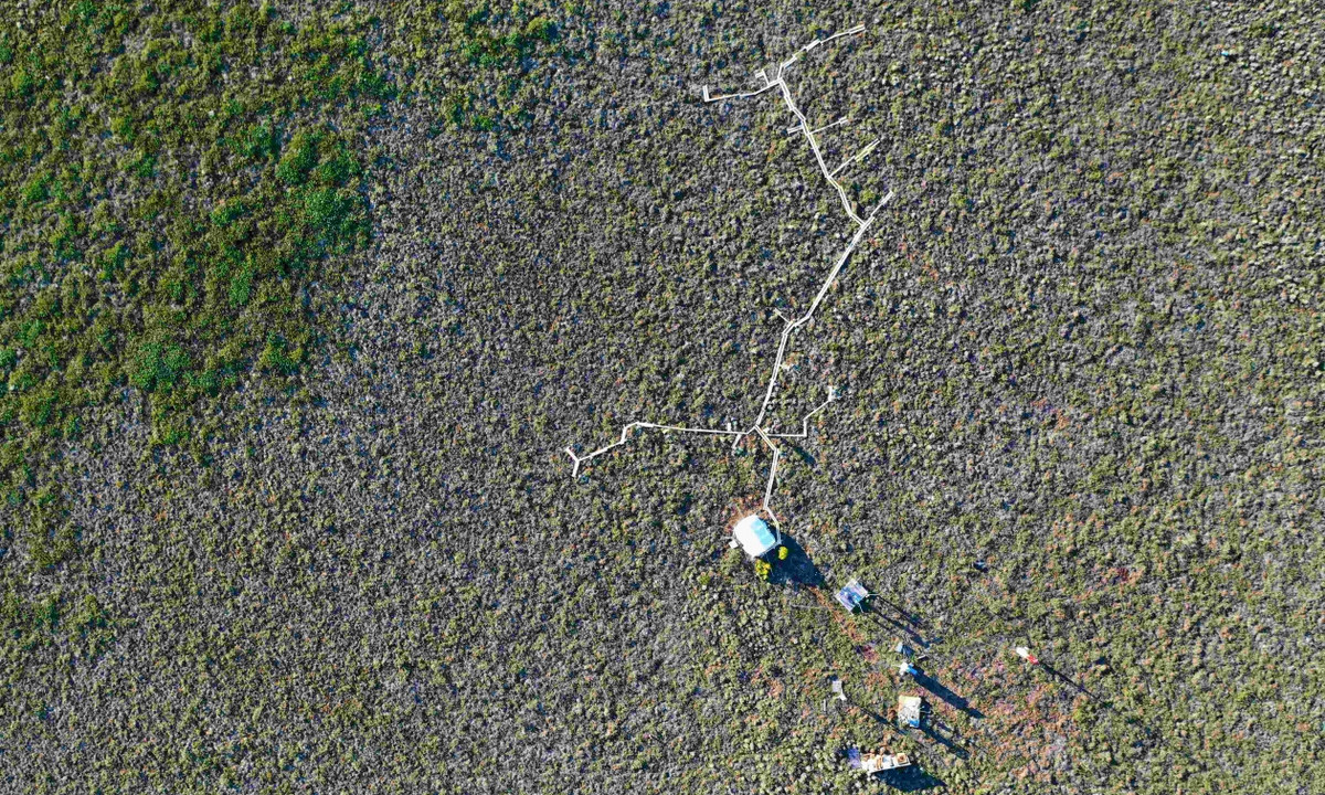 Vue aérienne prise par drone en juin 2019 du site Trail Valley Creek en haute toundra, dans les Territoires du Nord-Ouest du Canada, où des mesures automatisées et manuelles de flux de gaz sont effectuées. Le trottoir de bois permet d'accéder à chaque site de chambre à flux sans perturber la végétation et influencer les flux de gaz à l'intérieur des chambres; la tente blanche abrite l'analyseur de gaz et le système de contrôle du système de chambre automatisé; et une station micrométéorologique et une tour de covariance des turbulences sont visibles au bas de la photo.