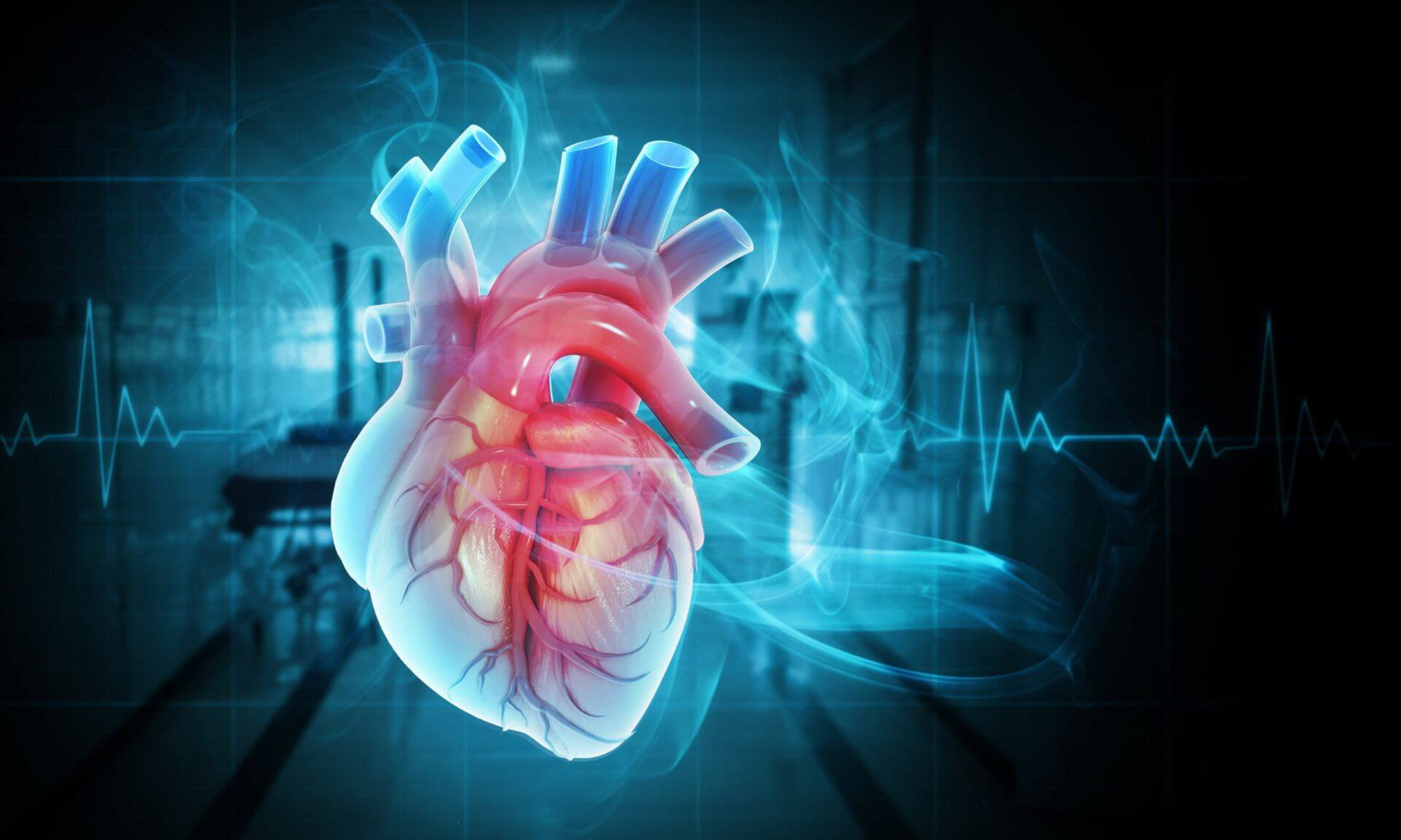 The researchers' approach more accurately reflects the complexity of the human myocardium.