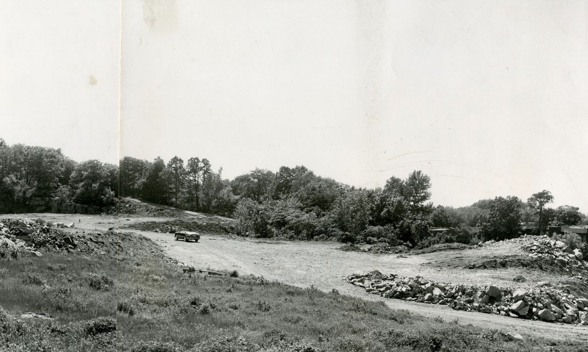 Au cours de la décennie 1920, le site retenu pour la construction du nouveau pavillon est une ancienne carrière de calcaire de la Ville de Montréal située sur le flanc nord du mont Royal.