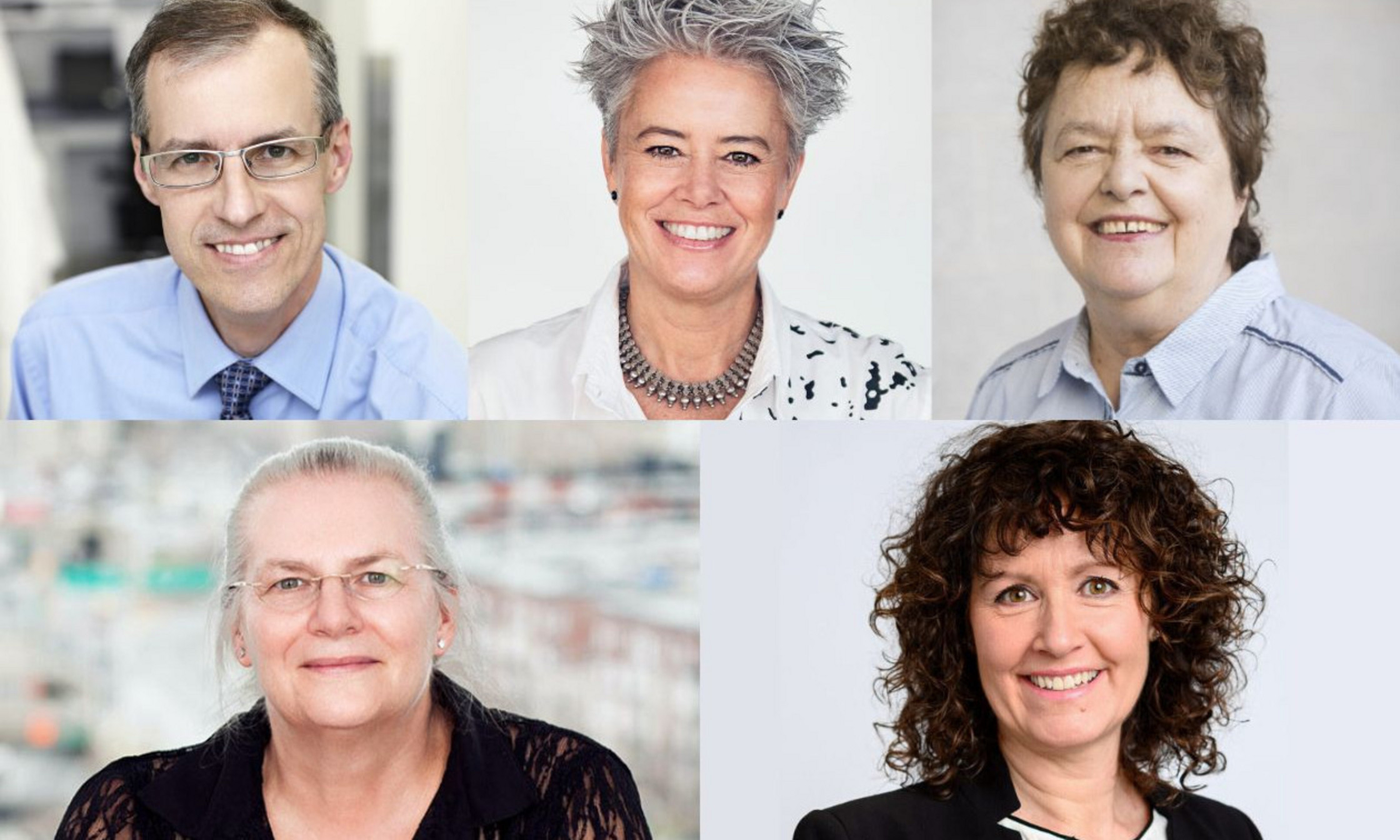 Denis-Claude Roy, Anik Shooner, Line Chamberland, Anne-Marie Mes-Masson et Isabelle Boissé