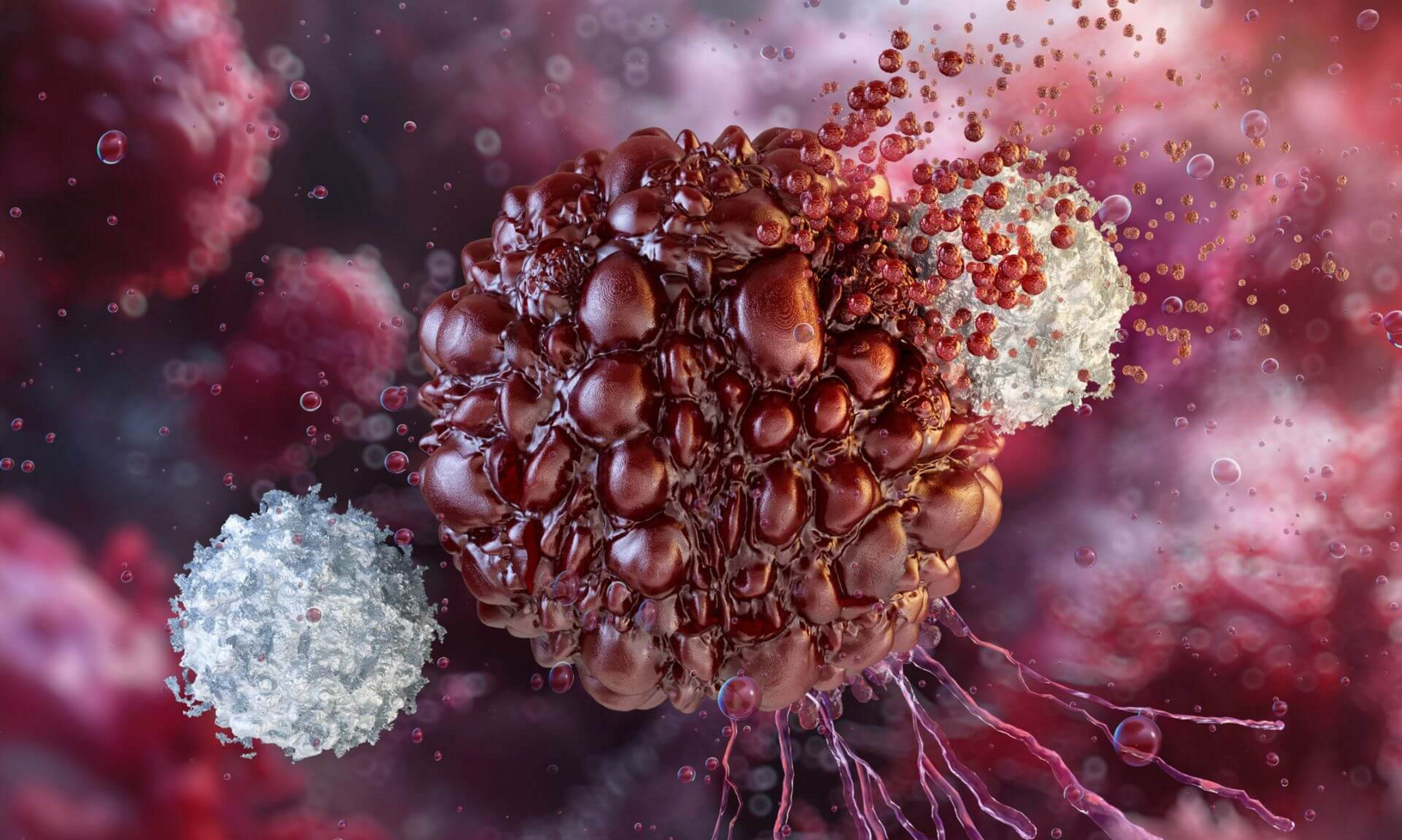 The discovery opens the door to a new chapter in immunotherapy.