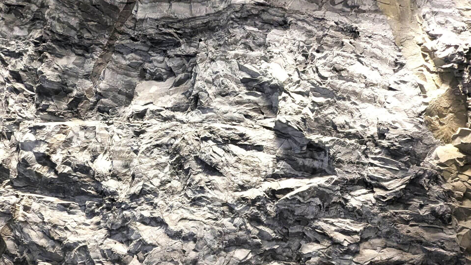 La roche gabbro, la roche mère du mont Royal
