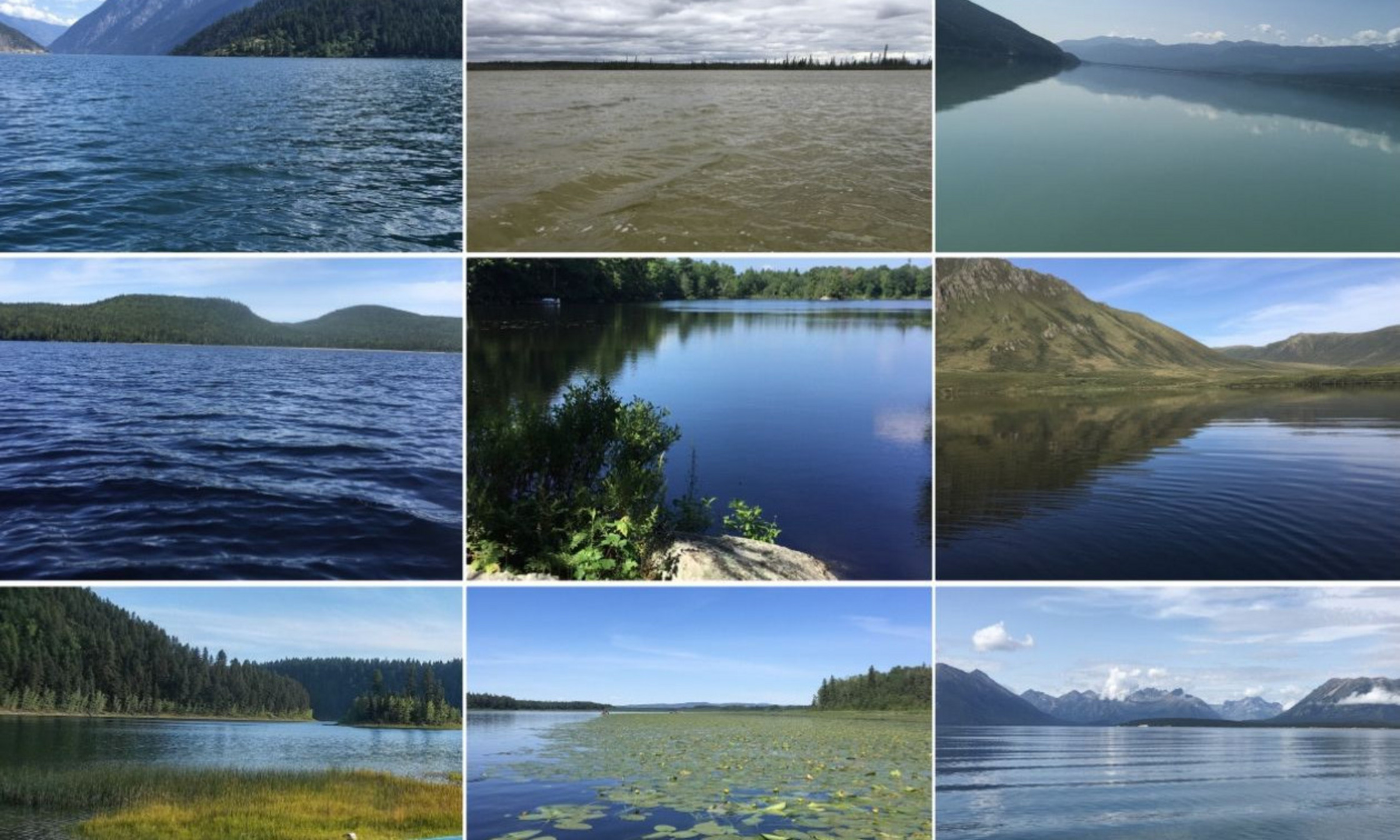 Lake Pulse Network (Blue, Red, Green and Purple teams); from upper to lower and left to right low impacted lakes from Semi-Arid Plateaux, Taiga Plains, Pacific Maritime, Boreal Shield, Mixed Wood Plain, Taiga Cordillera, Montagne Cordillera, Boreal Plain, Boreal Cordillera