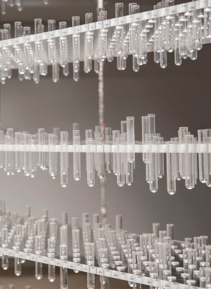 "12 millions" d'Heidi Barkun