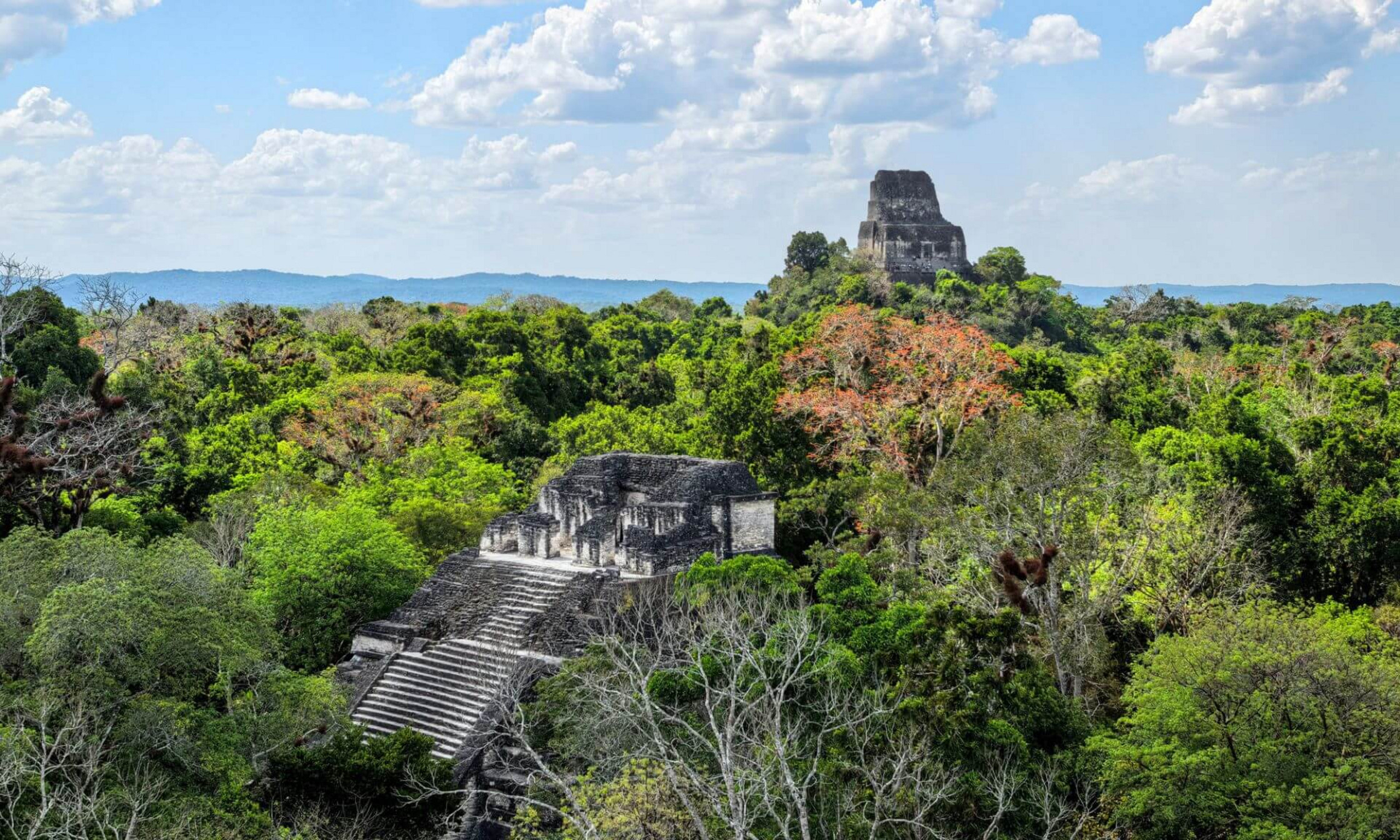 Analysis of 3300-year-old sediments from Lake Laguna Itzan in northern Guatemala challenges the hypothesis that the decline of the Maya was primarily due to repeated episodes of drought.