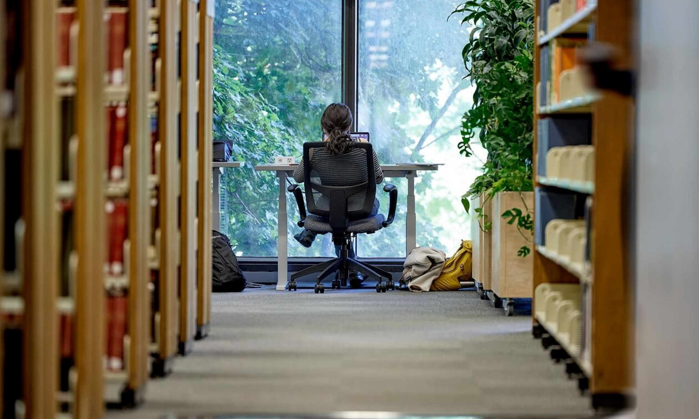Bibliothèque de droit de l’Université de Montréal