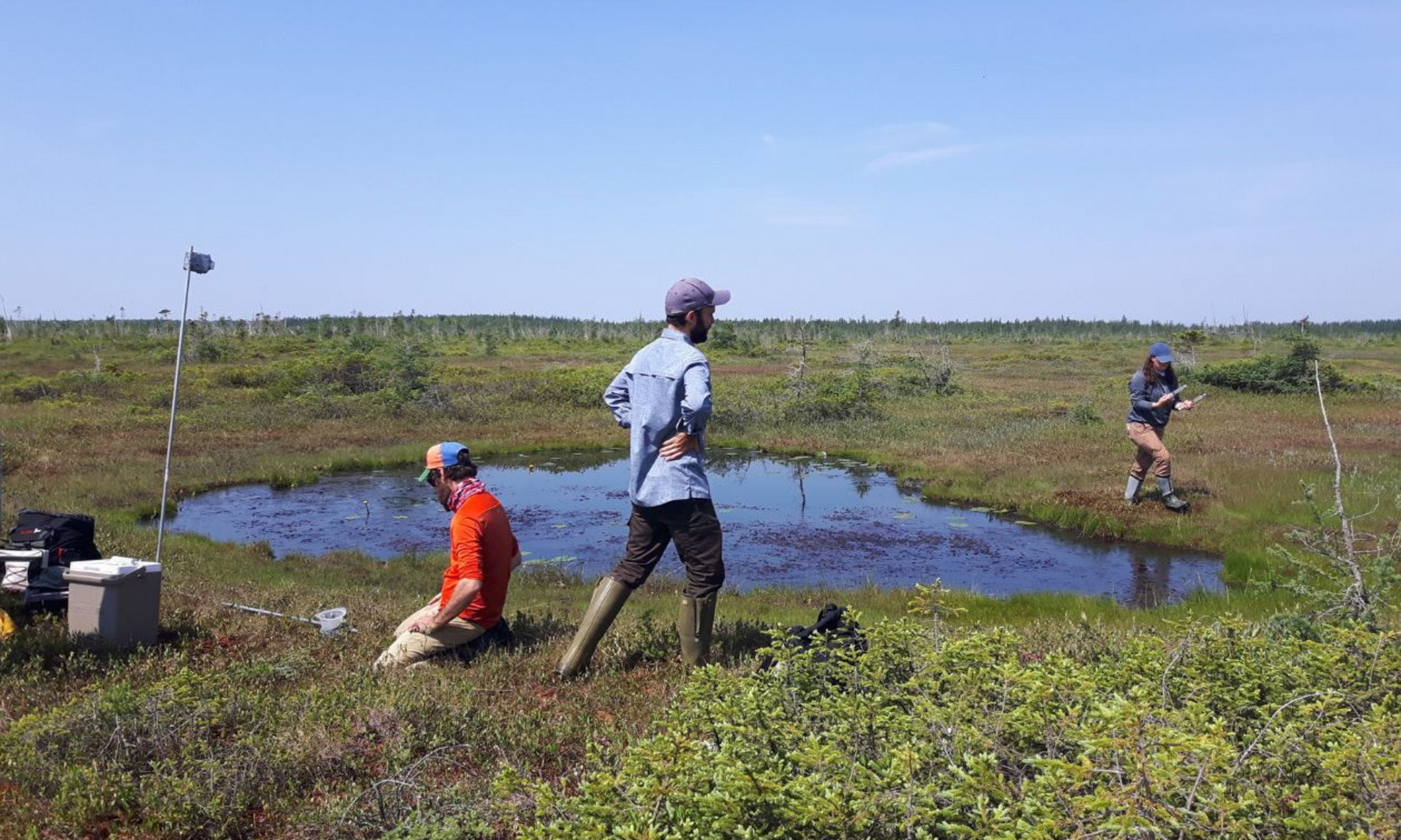 Julien Arsenault, Jean-François Lapierre et Émilie Jolin autour d’une mare naturelle de la tourbière Grande plée Bleue, à Lévis. Couvrant près de 1500 hectares (15 km carrés), cette tourbière est l’une des plus vastes et rares tourbières du sud du Québec encore à l’état naturel.