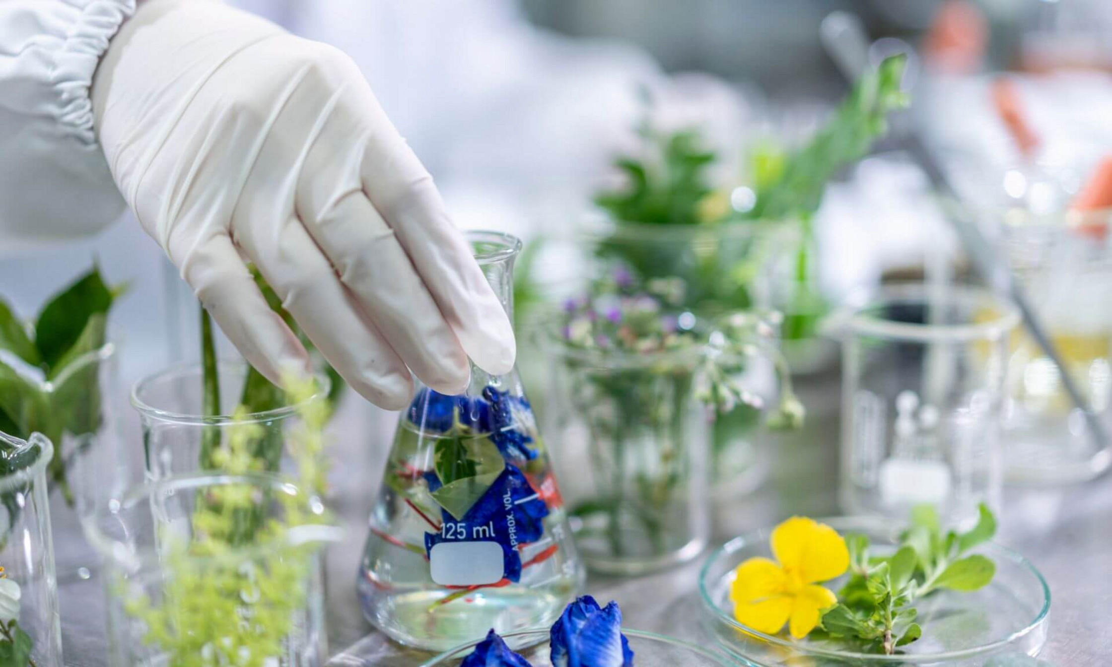 The discovery illustrates how compounds present in vanishingly small amounts in nature can have major therapeutic potential.