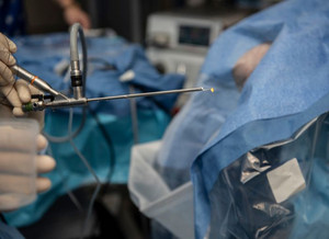 L’intervention assistée par imagerie consistait à insérer, par le système urinaire du l’animal, une caméra par endoscopie jusqu’à la vessie, afin de repérer les calculs et de les fragmenter à l’aide d’un laser. La fragmentation permet d’extraire plus facilement les calculs par les voies naturelles, sans devoir effectuer une incision.