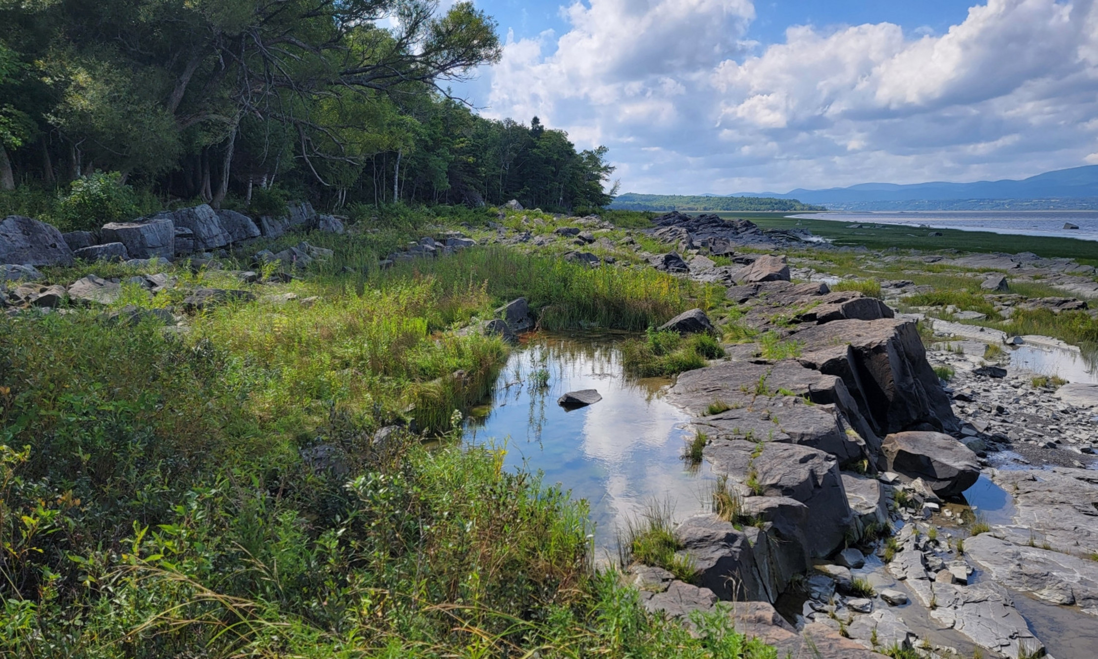 Les rives du fleuve Saint-Laurent