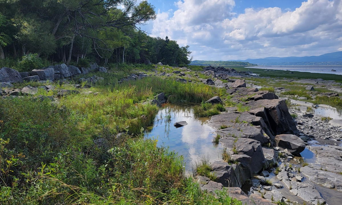 Les rives du fleuve Saint-Laurent