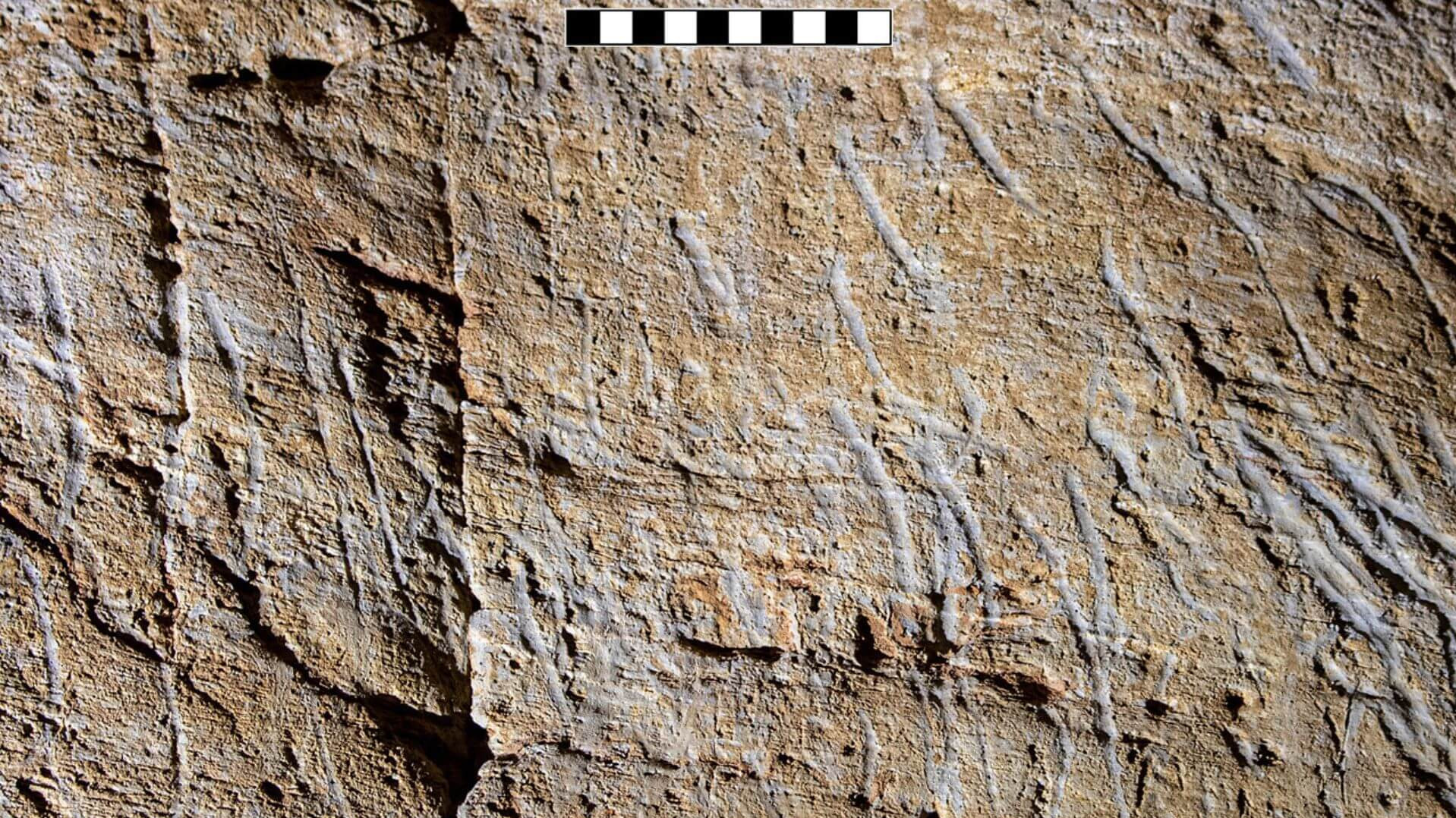 Marques de griffes attribuées à Ursus spelaeus sur la paroi de la grotte de Bàsura (Toirano, Ligurie).