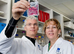 Guy Sauvageau et Anne Marinier
