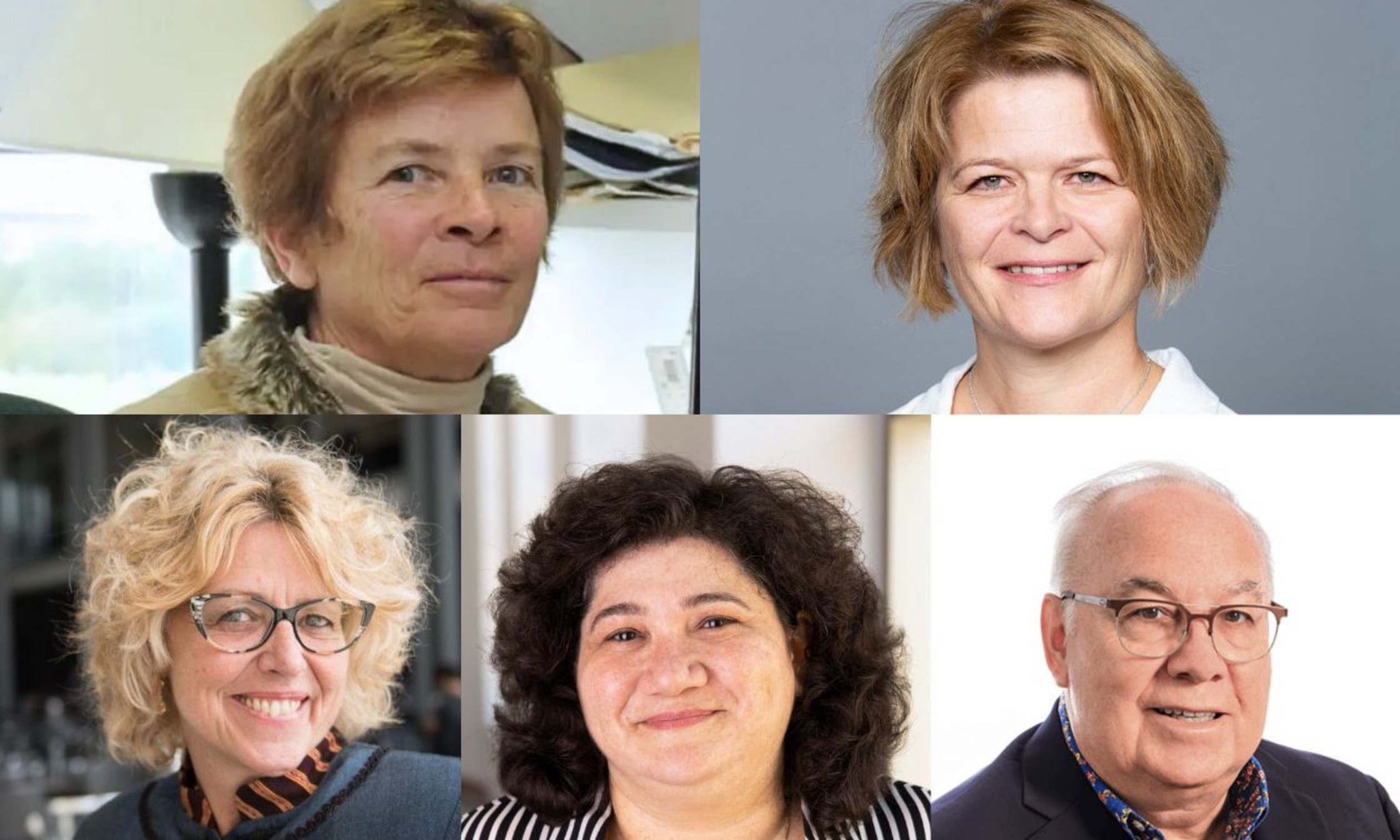 Élaine Chapman, Rachel Brosseau, Françoise Armand, Garine Papazian-Zohrabian et Claude St-Cyr