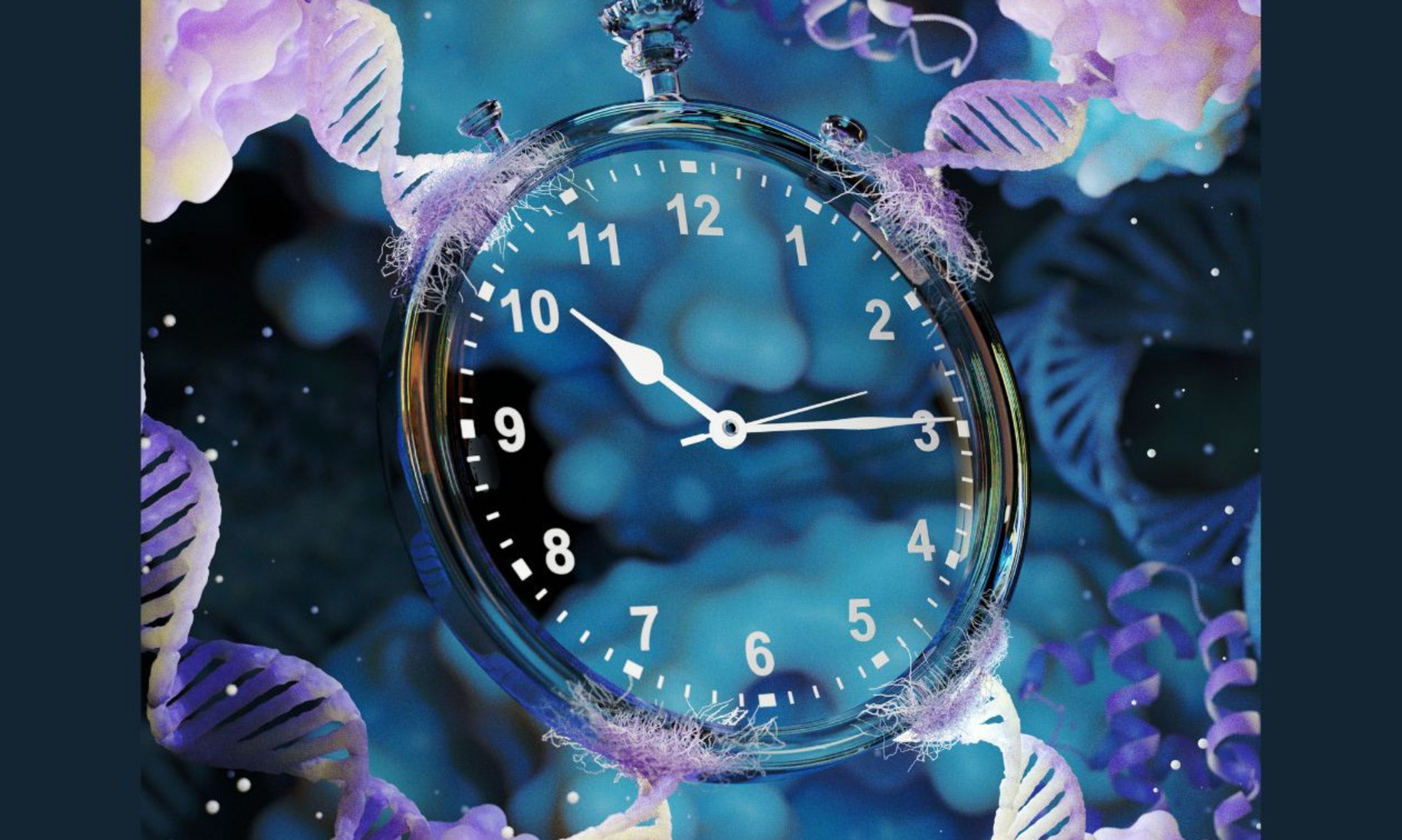 Le groupe du professeur Alexis Vallée-Bélisle, du Département de chimie de l’UdeM, a découvert comment programmer les molécules du vivant pour qu’elles s’activent à divers moments, agissant comme des minuteurs moléculaires. L'image illustre que le temps, à l’échelle moléculaire, peut être programmé par le biais même des biomolécules qui composent le vivant. Elle met l’accent sur l’ADN, la biomolécule qui a permis au groupe de recherche d’étudier les mécanismes biochimiques qui régulent le temps.